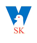 VSK logo